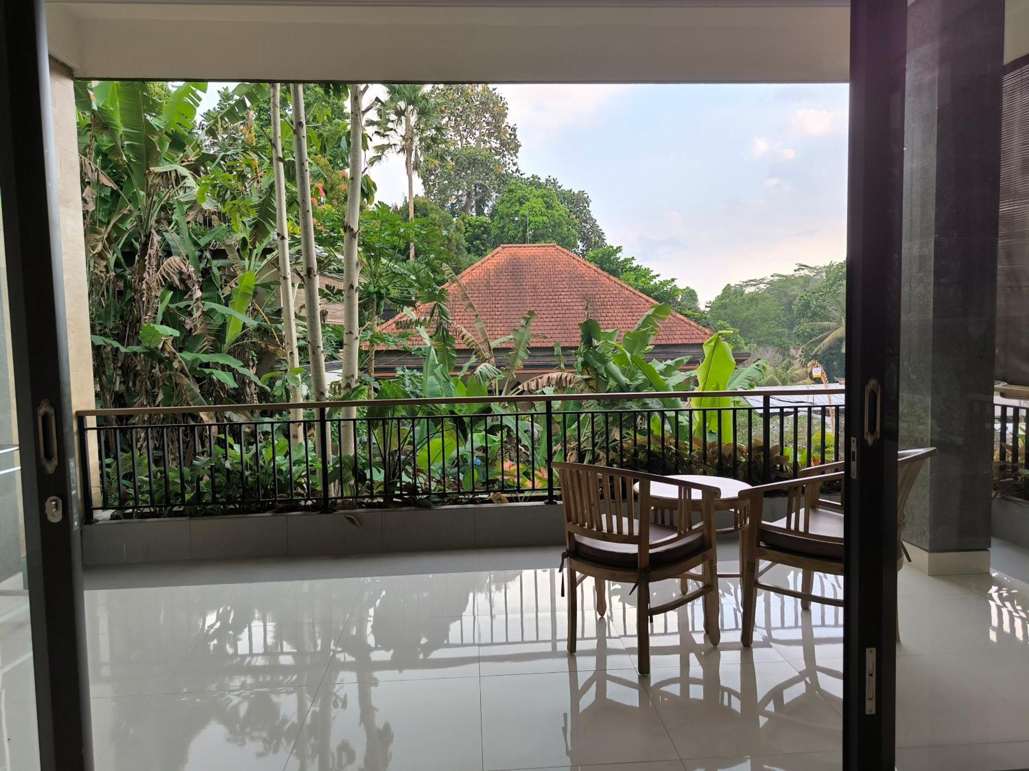 Campo de férias Bambu *